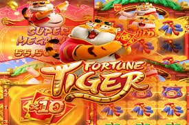 bgg bet
